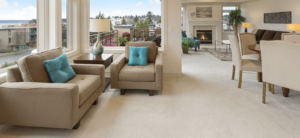 carpet cleaning new malden